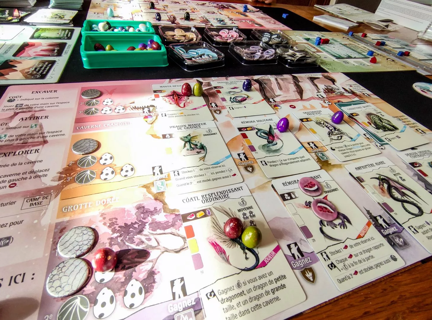 Avis sur le jeu Wyrmspan 4